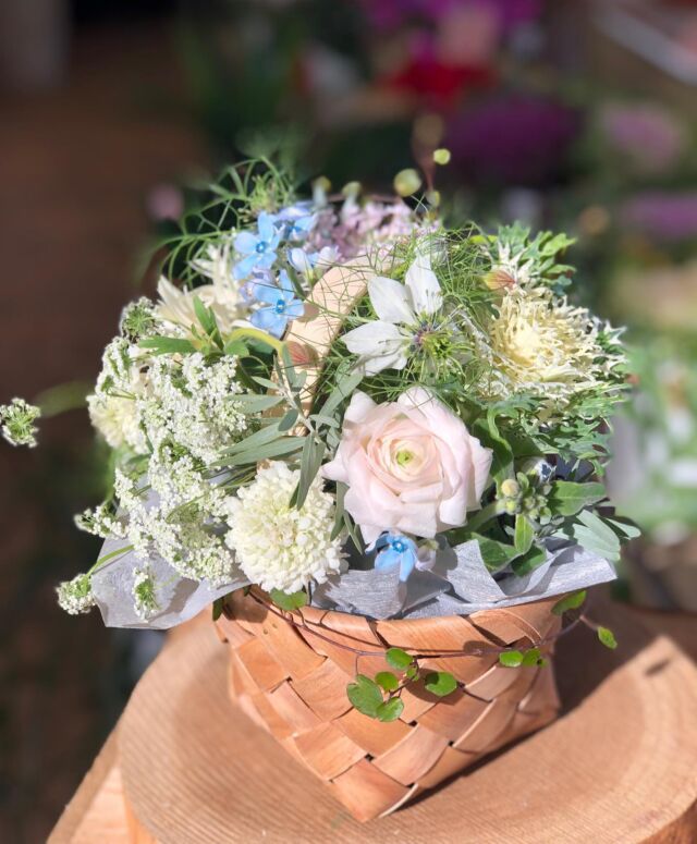 こんにちは😃
フラワーヒルズです。

今年最初の花ごよみ
1月11日(水)のサンプルです^ ^

バスケット🧺に白を基調とした
花々満載のアレンジメント❣️
楽しくアレンジしましょう♪

皆様のご参加
お待ちしています^_^

フラワーヒルズ2F
1月11日(水)
午前の部10時〜
午後の部1時30分〜
参加費2500円

フラワーヒルズ
📞0289-63-6031